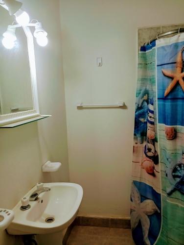 a bathroom with a sink and a shower curtain at Punta Ninfas 1 in Las Grutas