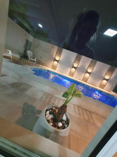 a potted plant sitting on a table next to a pool at Quincho Los Abuelos in Chivilcoy