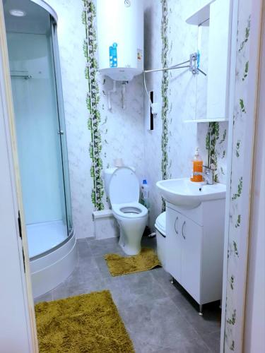 y baño con aseo, lavabo y ducha. en Жк JanaAlem 57 en Kokshetau
