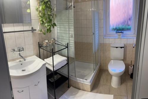 y baño con aseo, ducha y lavamanos. en Mini Vendégház Budaörs, en Budaörs
