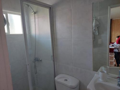 y baño con ducha, aseo y lavamanos. en Cabaña Campestre en Osorno