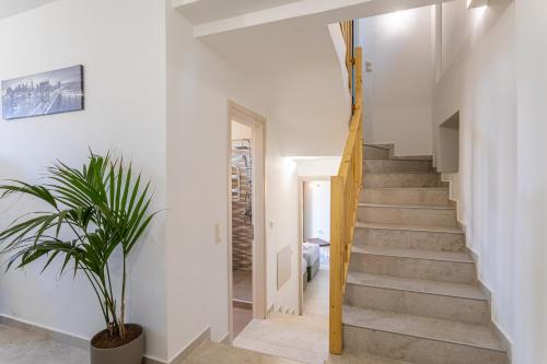 a staircase in a house with a potted plant at Villa Daniela in Neokhórion