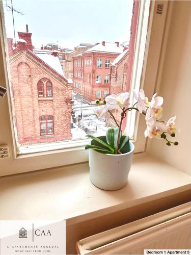 a plant sitting on a window sill with a view at C Apartments Annedal in Gothenburg