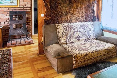 a couch in a living room with a fireplace at Grenlanda in Ulanów