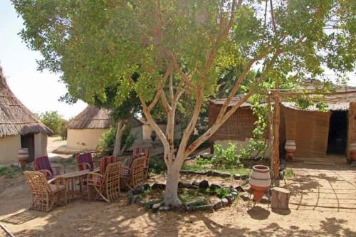 patio ze stołem i krzesłami pod drzewem w obiekcie Five oasis desert camp w mieście Az Zabū