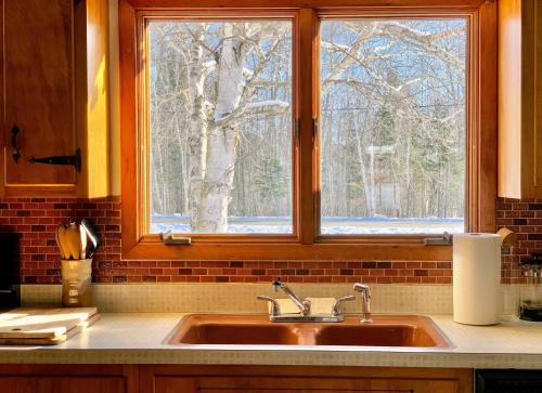 um lavatório numa cozinha com uma janela em The Lorca Adirondacks Motel em Indian Lake