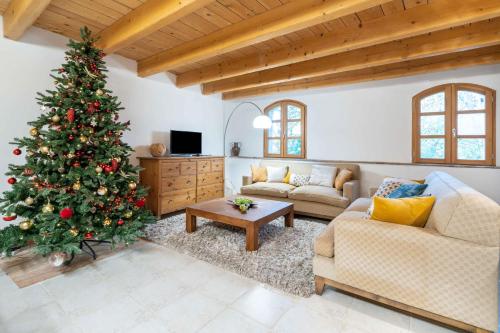 a living room with a christmas tree and a couch at Le Relais de Bellemaison in Montfrin