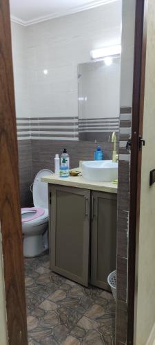 a bathroom with a sink and a toilet and a mirror at رياض النخيل in Aïn el Apuda
