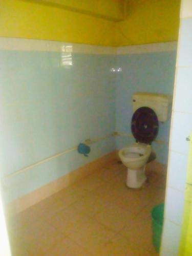 a bathroom with a toilet with a blue wall at Sonarbangla in Digha