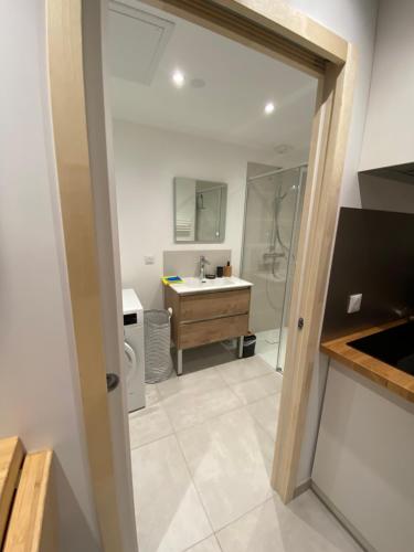 une salle de bain avec un lavabo et une douche dans l'établissement Appartement Le Clos Fleuri 1, à Sixt-Fer-à-Cheval