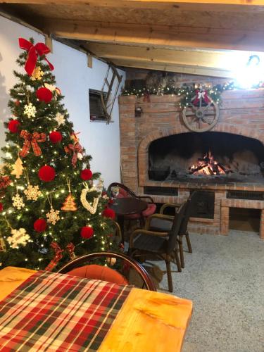 a christmas tree in a living room with a fireplace at Apartman VikendicaManja Banja Luka in Banja Luka