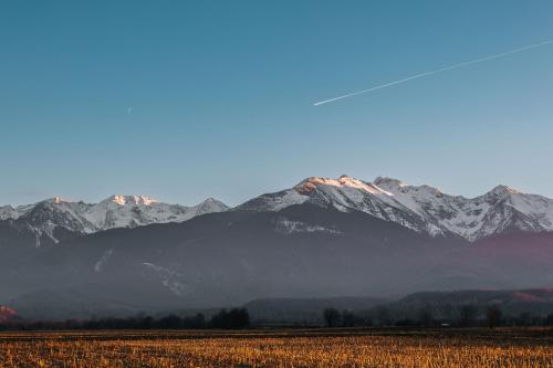 a mountain range with a field and snow covered mountains at Little Bear Lodge in Sibiu