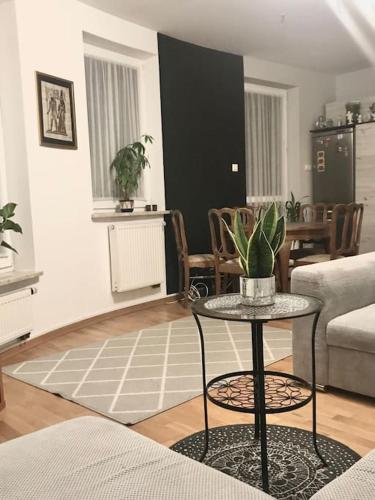 a living room with a table with a plant on it at Apartament nad rzeką przy parku zamkowym in Olsztyn