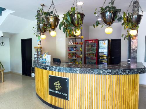 um bar numa loja com vasos de plantas em Hotel Central Plaza Medellin em Medellín