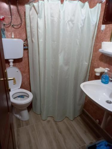 a bathroom with a white shower curtain and a toilet at Zlatarski Pogled in Nova Varoš