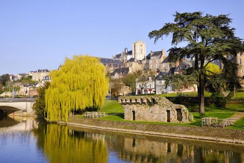 a view of a river with a bridge and buildings at Le Charmant, Centre-Ville, TV-HD, Wifi in Le Mans