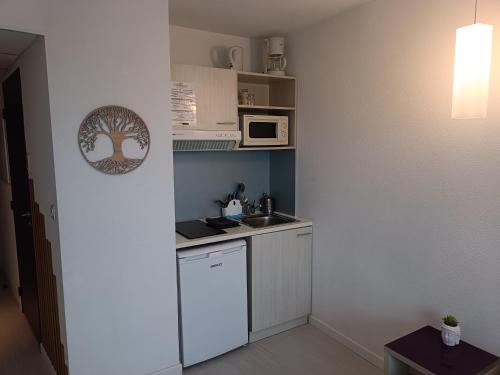 une petite cuisine avec un évier et un micro-ondes dans l'établissement Studio proche gare avec parking, à Lourdes