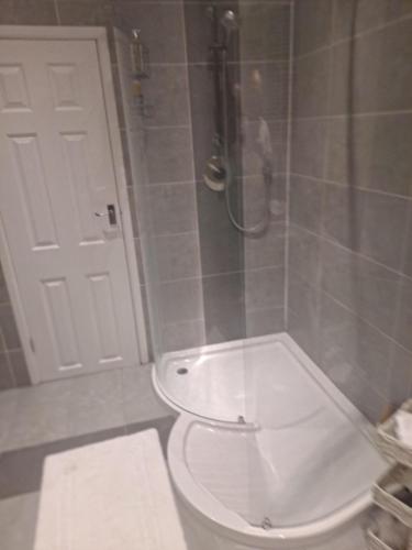 a white toilet in a bathroom with a shower at Lapley Manor Lodge in Gailey