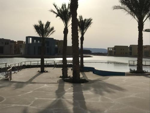 um grupo de palmeiras ao lado de uma piscina em Villa at the lagoon em Hurghada