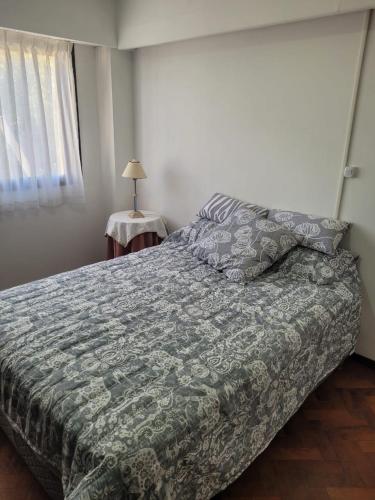 ein Schlafzimmer mit einem Bett mit einer grauen Bettdecke in der Unterkunft Dpto España ubicadísimo!!! in Mendoza