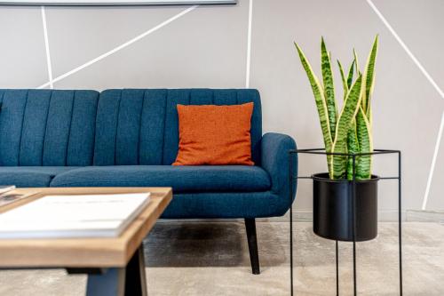 a blue couch in a living room with a potted plant at Miralago Locarno Easy Rooms in Locarno