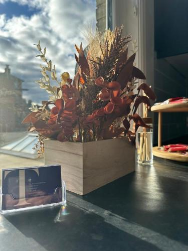 a plant in a wooden box next to a window at Cambridge Central Rooms - Tas Accommodations in Cambridge