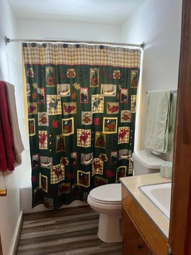 a bathroom with a green shower curtain with a toilet at South Fork Lodge & RV Park Colorado in South Fork