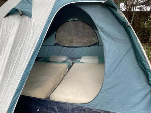 a blue and white tent with two beds in it at El Arbol Eco Lodge in La Serena