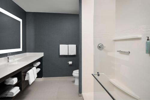 a bathroom with a sink and a toilet and a shower at Residence Inn by Marriott Dallas Grand Prairie in Grand Prairie