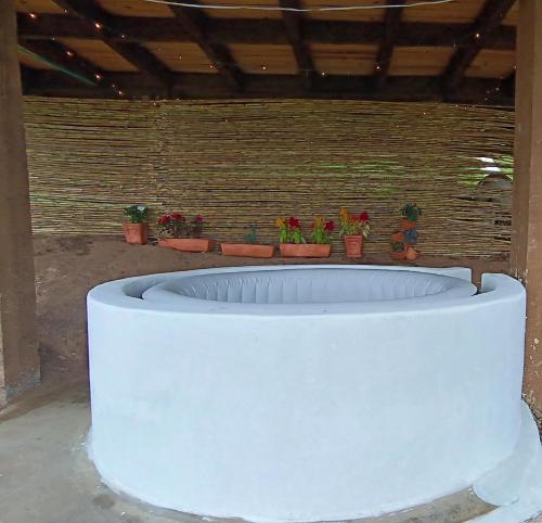 uma grande banheira branca com vasos de plantas numa parede em Glamping Caelum. Refugio al aire libre, en Macheta Cundinamarca em Machetá