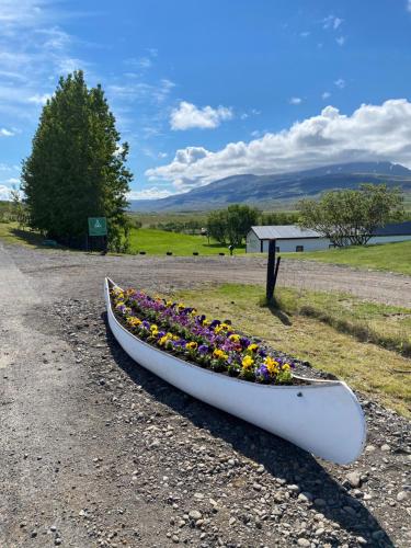 a boat filled with flowers sitting on the side of a road at Bakkaflöt Guesthouse in Varmahlid