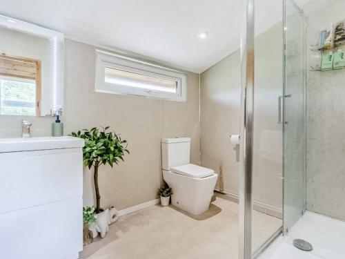 a bathroom with a toilet and a shower and a sink at Dai Boy Cabin - Uk46403 in Cowbridge