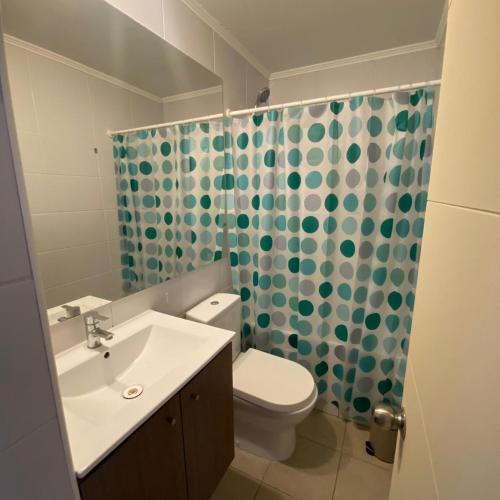 uma casa de banho com um lavatório, um WC e um chuveiro em Apartamento Barcelona Miró N&A em Santiago