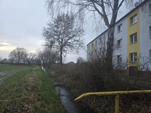 una pequeña zanja frente a un edificio y una calle en Ferienwohnung Marie, 