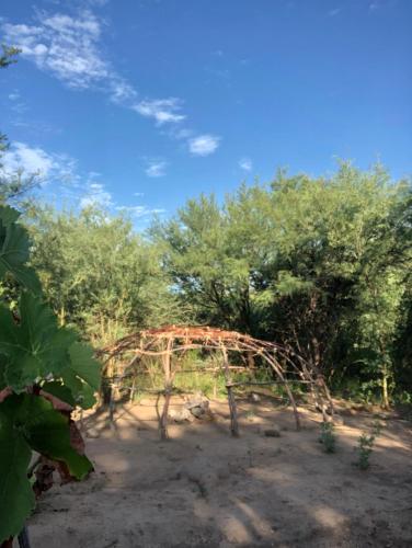 a small arch in a field with trees at Sonqo Wasi in Cruz del Eje