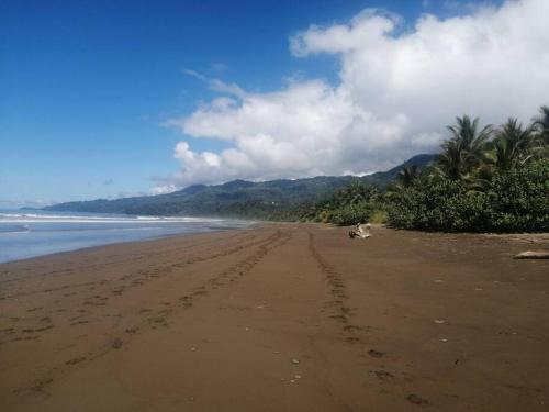 a sandy beach with palm trees and the ocean at Uvita Stone House in Uvita