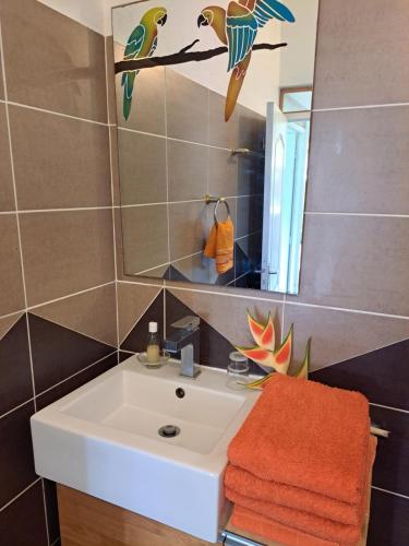 ein Badezimmer mit einem weißen Waschbecken und einem Spiegel in der Unterkunft Gîte 2 à 4 personnes à la campagne in Le Moule