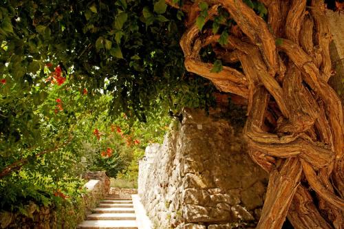 a tree leaning over a stone wall with stairs at Logis Hôtel Restaurant Le Domaine de l'Eau Vive in Largentière