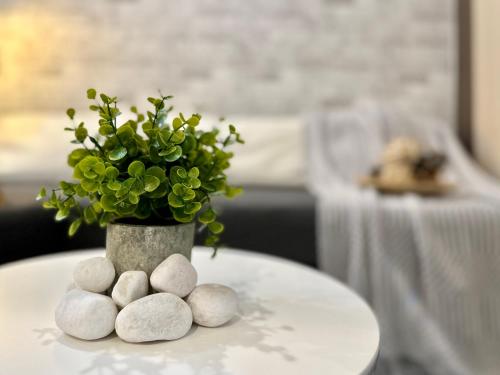 un vase avec une plante au-dessus d'une table dans l'établissement Cozy Hyve Soho Suites, à Cyberjaya