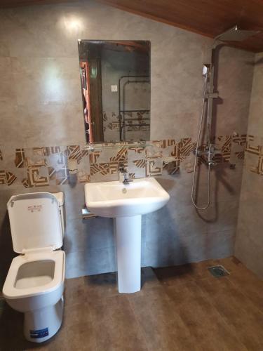 a bathroom with a sink and a toilet and a mirror at Charley's Heaven Ambewela in Ambawela