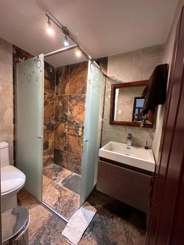 a bathroom with a shower and a sink and a toilet at APARTAMENTO FERROCARRIL 201 in Ibagué