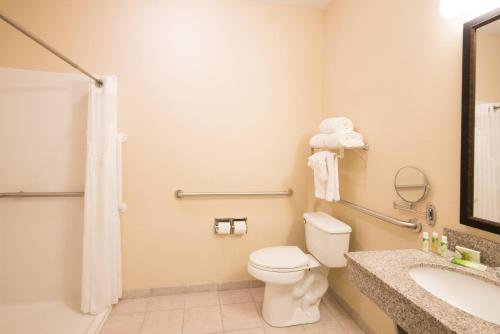 a bathroom with a toilet and a sink at Holiday Inn Express & Suites - Sharon-Hermitage by IHG in West Middlesex