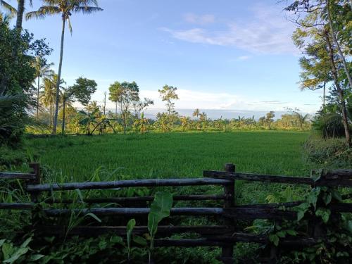 a fence in front of a field of grass at Villa Mak Cik in Yogyakarta