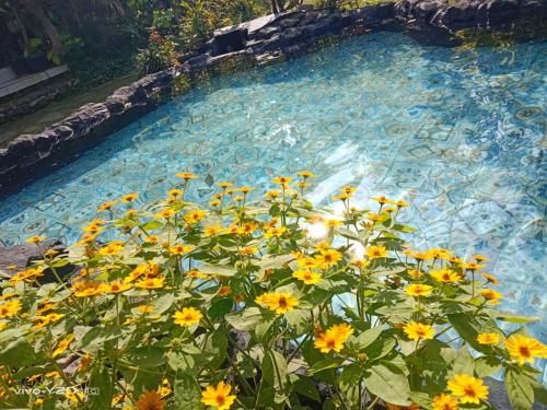 a bunch of yellow flowers in front of a pool of water at Villa Mak Cik in Yogyakarta