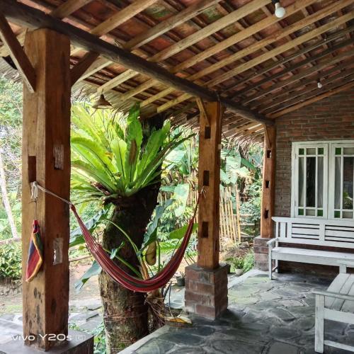 a wooden pergola with a tree and a bench at Villa Mak Cik in Yogyakarta