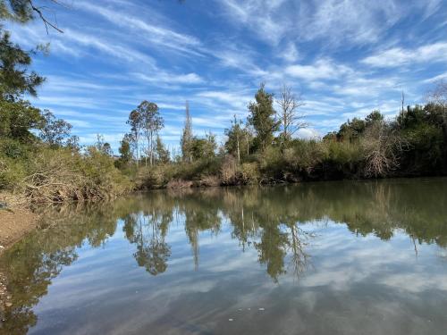 a body of water with trees and a blue sky at Barrington Riverside Cottages in Barrington