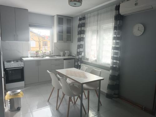 a kitchen with a table and chairs and a sink at Nas San lower apartment in Vrdnik