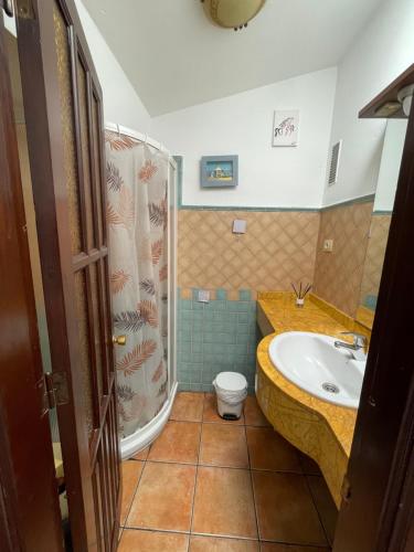 ein Bad mit einem Waschbecken, einer Dusche und einem WC in der Unterkunft Olivia’s house in Maspalomas