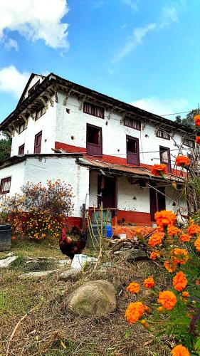 stary dom z kurczakiem stojącym przed nim w obiekcie Sabitri Homestay w mieście Panaoti