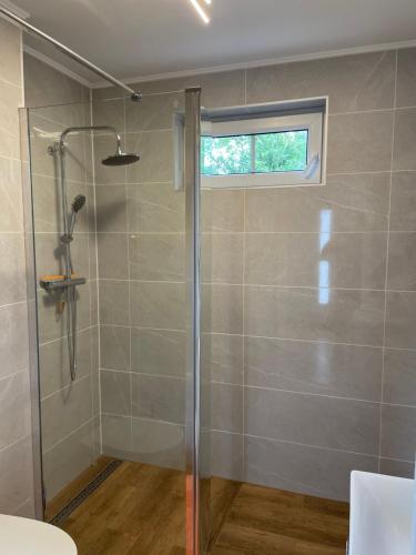 a shower with a glass door in a bathroom at Falkennest in Quedlinburg
